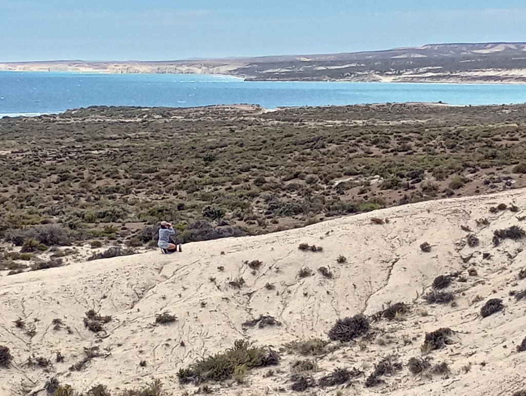 Birdwatching in Patagonia – Patagonia Birding Tours